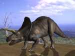 Triceratops